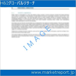 市場と産業調査レポートのイメージ